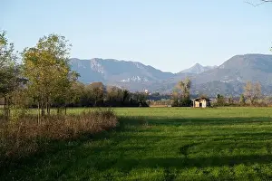 Friuli Venezia Giulia Prints: 2yk43yk