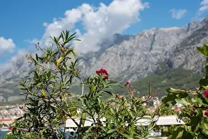 Adriatic Coast Prints: 2ykhhk4