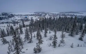 Boreal Forest Prints: 2ymdk3k