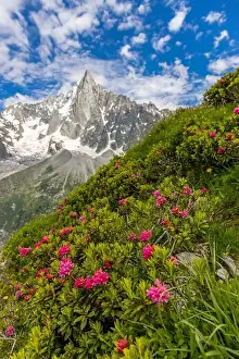 Mont Blanc Massif Prints: 2ymh2r2