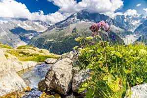 Chamonix Prints: 2ymhpty