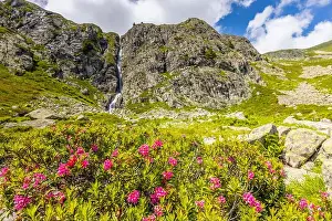 Chamonix Prints: 2ymn7e5