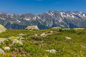 Chamonix Prints: 2ymn7ha