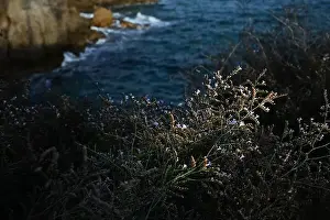 Dramatic Landscape Prints: 2ymp1bj