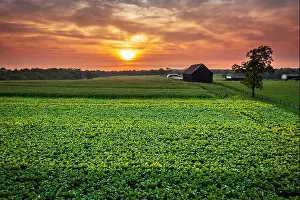 Kentucky Prints: 2ynd8at
