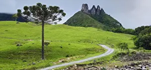 Santa Catarina Prints: 2ynf5kr