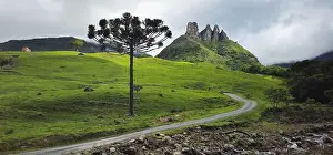 Santa Catarina Prints: 2ynf5m4
