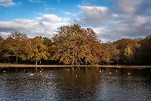 Southampton Prints: 2ynp2wj