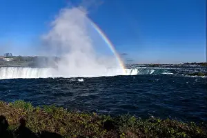 Plume Prints: 2yntpr1