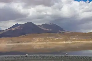 Dramatic Landscape Prints: 2ypjxdy