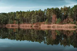 Green Forest Prints: 2ypy4j8