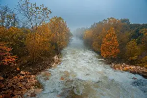 Rushing Prints: 2yr17x6