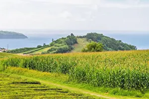 Sao Miguel Prints: 2yr4j14