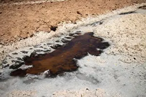 Salt Crust Prints: 2yrf25m