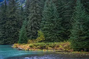 Backcountry Prints: 2yrkdh8