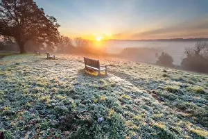 Benches Prints: 2yrynmh