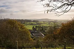 Bucolic Prints: 2yt82f3