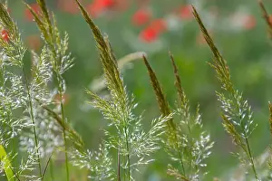 Droplets Prints: 2ytda36