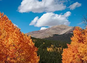 Autumn Colors Prints: 2ytjae9