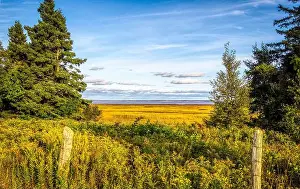 New Brunswick Prints: 2ywkgc0