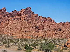 Red Rock Prints: 2ywtgnj