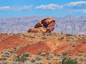 Red Rock Prints: 2ywtgr6