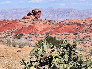 Red Rock Prints: 2ywtgtj