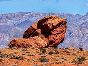 Red Rock Prints: 2ywtgtp