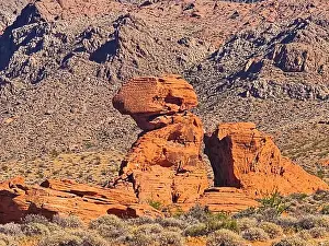 Red Rock Prints: 2ywtgty