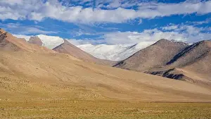 Pamir Prints: 2ywwndx