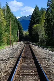 Train Track Prints: 2yx20cg