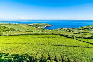 Azores Prints: 2yy14p1