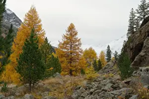 Autumn Colors Prints: 2yycwtx