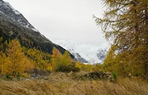Autumn Colors Prints: 2yycww6