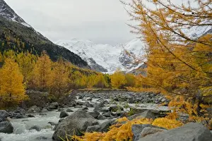 Autumn Colors Prints: 2yycwxc