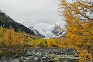 Autumn Colors Prints: 2yycwy6
