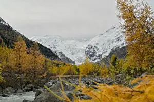 Autumn Colors Prints: 2yycx5e