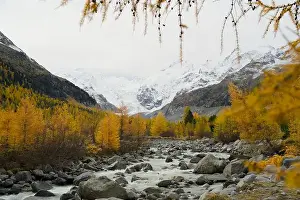 Autumn Colors Prints: 2yycx6t