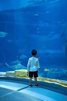 Captivating Prints: A 3 year old boy stands in awe
