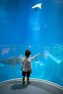 Captivating Prints: A 3 year old boy stands in awe
