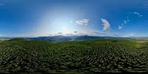 360° Panoramic Aerial View of Florival Valley: From Lautenbach's Forest Treetops to Buhl's Sun-Kissed Hills