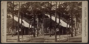 Lakeshore Prints: 365 View of the deck, Round Lake, by F. Clark