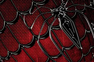 Garb Prints: 3d digital computer illustration of Spider-man costume design