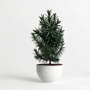3d illustration of houseplant potted isolated on white background