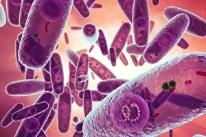 Sensitive Prints: 3d illustration of Pasteurella multocida bacteria