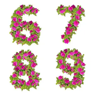 Digit Prints: 3D illustration of pink wild rose flowers alphabet - digits 6-9
