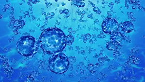 Biotechnology Prints: 3d illustration water molecules and bubbles. H2o