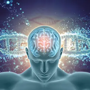 Microbe Prints: 3D render of a medical background with male figure with brain highlighted on DNA strands