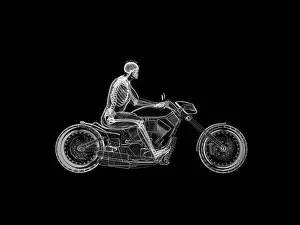 X Ray Prints: 3d rendered illustration of a bikers skeleton