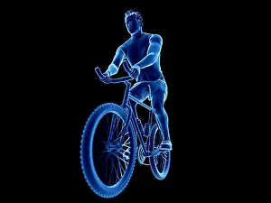 Biker Prints: 3d rendered illustration of a cyclist